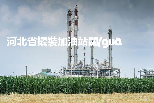 河北省撬裝加油站關(guān)鍵技術(shù)突破！化工廠拆除工程的新方法探索？
